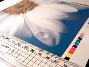 Printing Services at Frame Plus Art